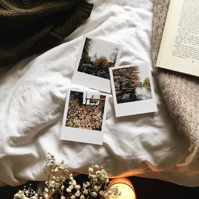 Pola Cards