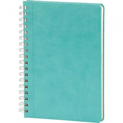 https://d1x3eomzsc6lfz.cloudfront.net/baskiadam/images/product/spiralli-gunluk-ajanda-17x24-kucuk.jpg