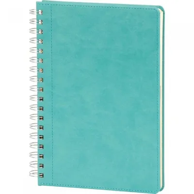 Spiralli Tarihsiz Defter 17x24