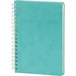 Spiralli Tarihsiz Defter 17x24