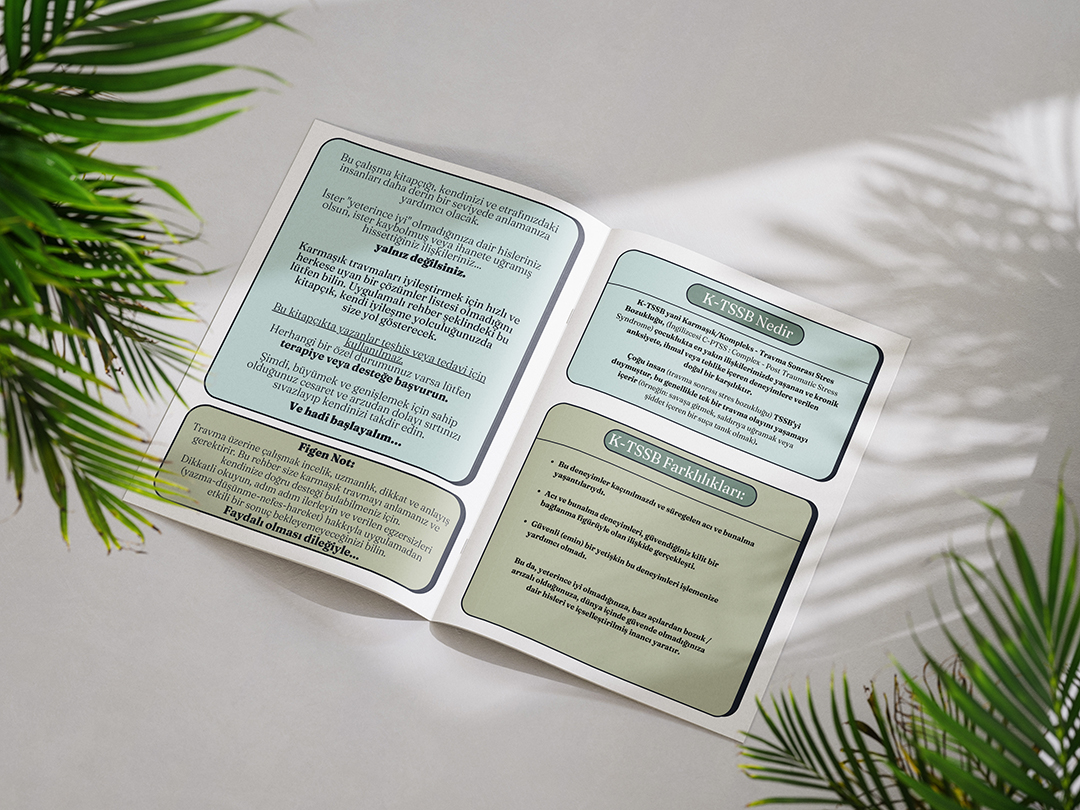 Karmasik Travma Calisma Kitabı 2