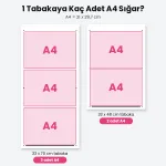 Sheet Sticker 4
