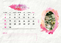 2027 Masaüstü Takvim Tasarımı