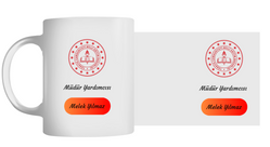 Müdür Yardımcısı