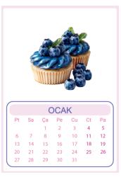 Duvar Takvimi 13 Yaprak 2025