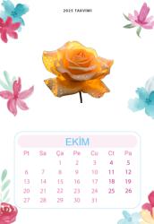 Duvar Takvimi 13 Yaprak 2025