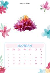 Duvar Takvimi 13 Yaprak 2025