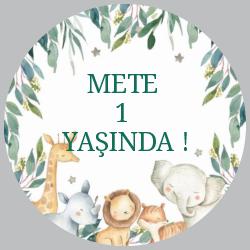 x bebek 1 yaşında buton rozet