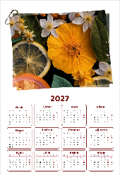 Kişiye Özel 2027 Duvar Takvimi (32x47)