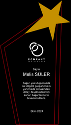 Yıldızlı Kristal Plaket