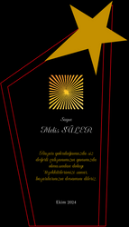 Yıldızlı Kristal Plaket