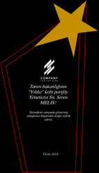 Yıldızlı Kristal Plaket