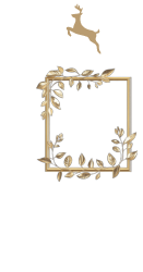 Yıldızlı kristal plaket