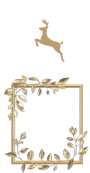 Yıldızlı kristal plaket