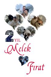 Çerçeveli Poster Baskı