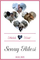 Çerçeveli Poster Baskı