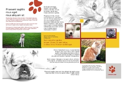 Brochure-22