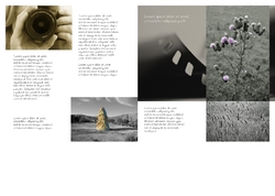 photography_brochure_7_india