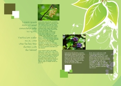 Brochure-2