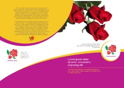 Brochure-7
