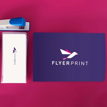 mockup plic fata