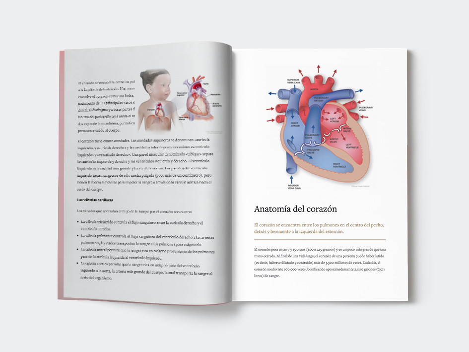 Revistas grapadas COLOR