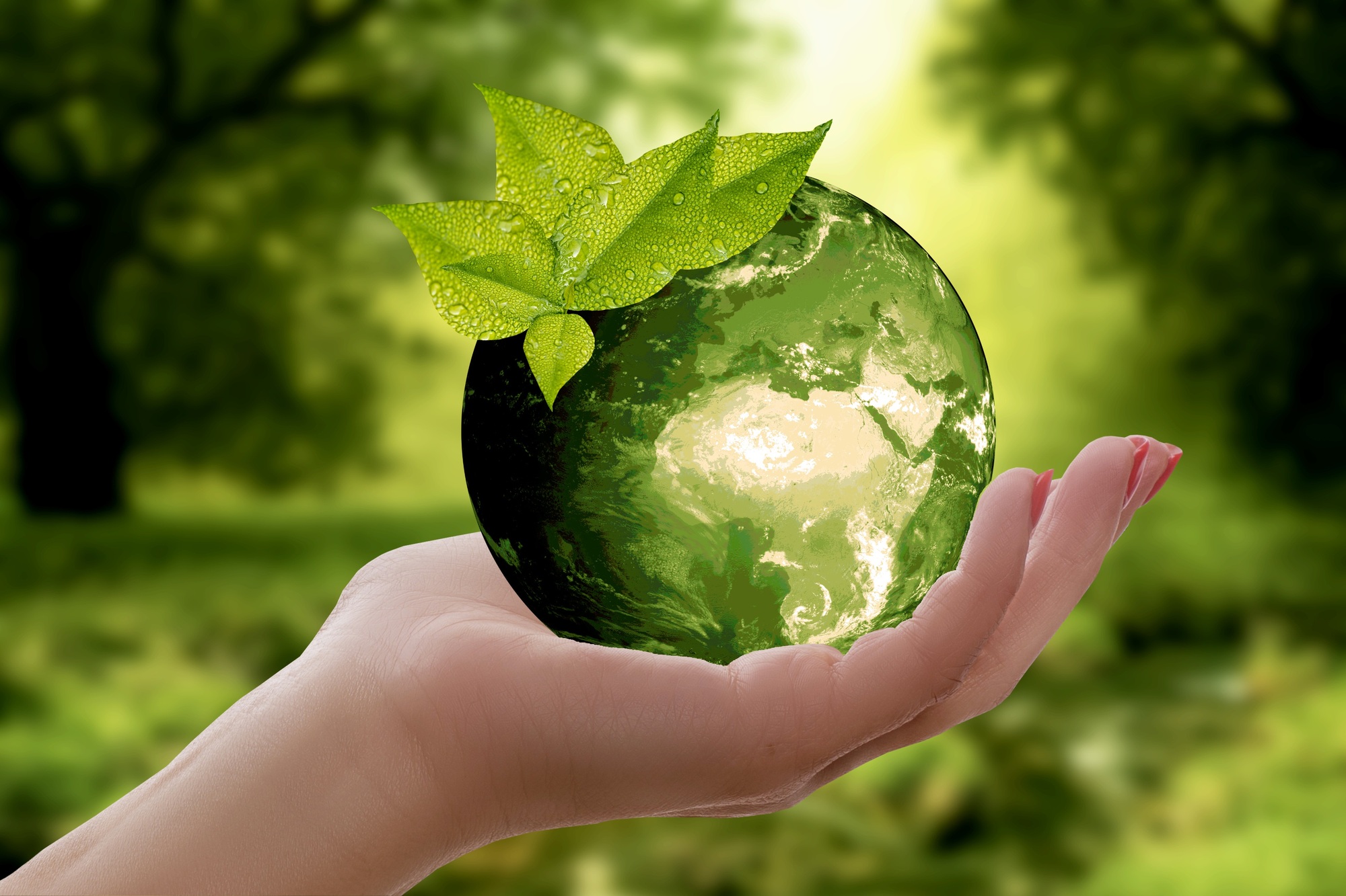 Eco-Friendly Business Products: The Top 3 Must-Have Items and Why They Matter Eco_wallpaper_1712157435196.jpg