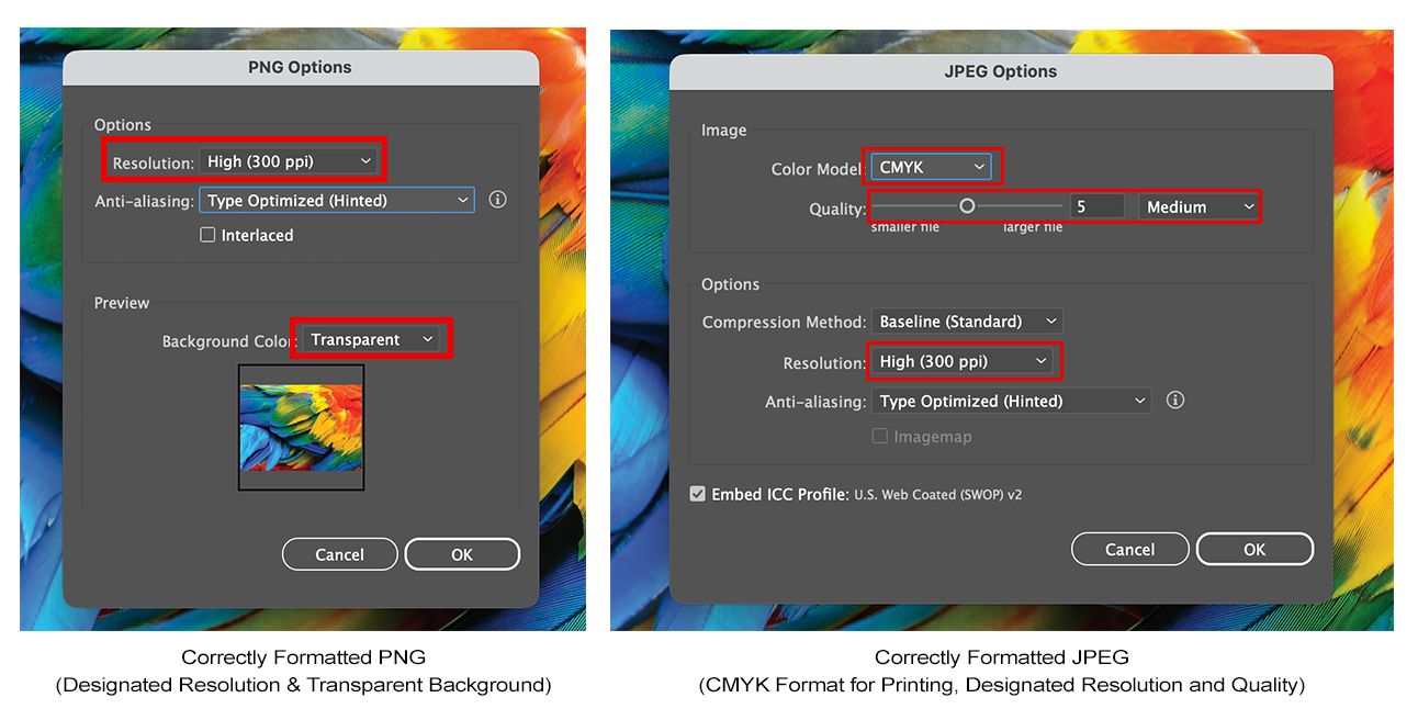 Setting Up Correct Image Resolution