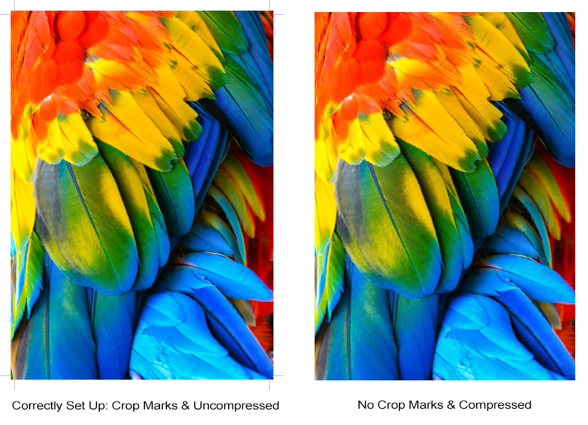 Uncompressed vs Compressed Example