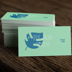 Eco Friendly Business Cards