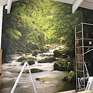 Eco Friendly Wallpaper