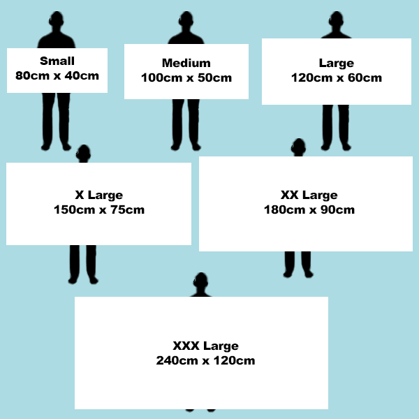 Giant Paper Cheque 2