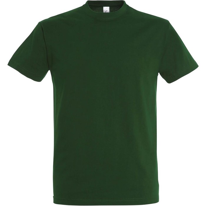 Vert bouteille