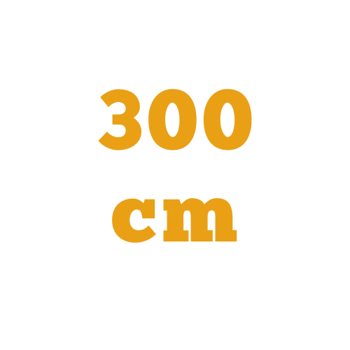 300 cm