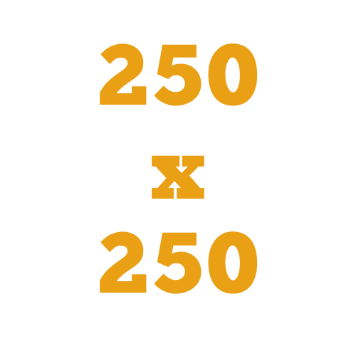250x250