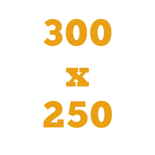300x250