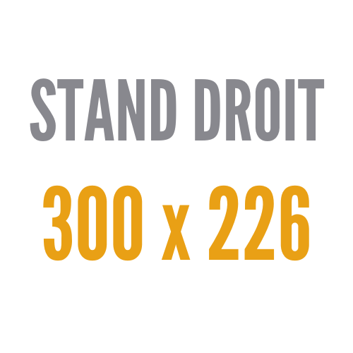 Droit 300x226 cm