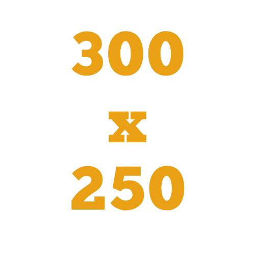 300 x 250 cm
