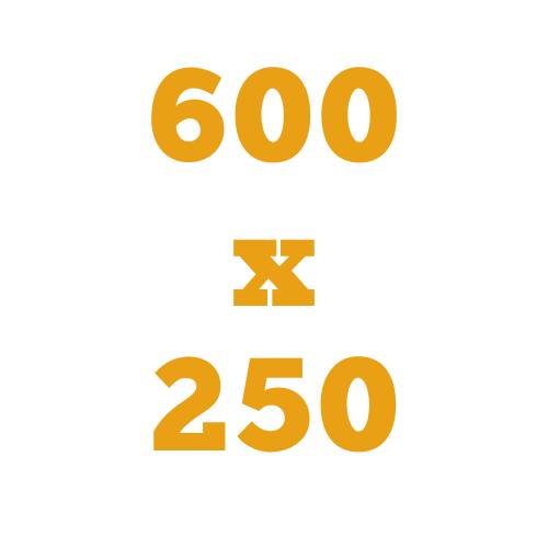 600 x 250 cm