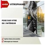 vinyle adhésif vitrophanie