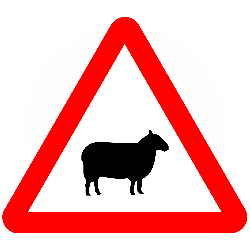Beware of Sheep