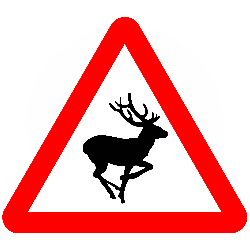 Wild Animals ahead