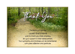 SCE38 TYC Style 2 Front