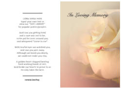 FLW135 MC Style 1 New Outer Pages