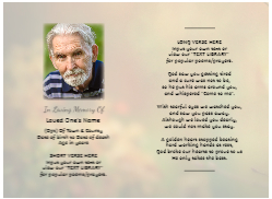 FLW123 MC Modern Inner Pages