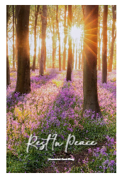 SCE92 WC Style 2 New Front