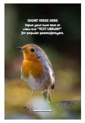 FLW124 WC Style 2 New Front