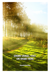 SCE11 WC Style 2 New Front