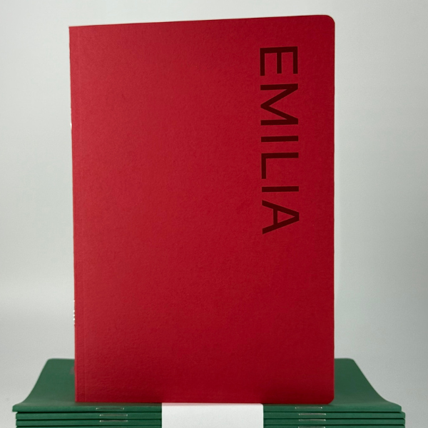 vihik kaustik tagasi kooli back to school notebook notepad kammköide klamberköide trükk vihko komplekt