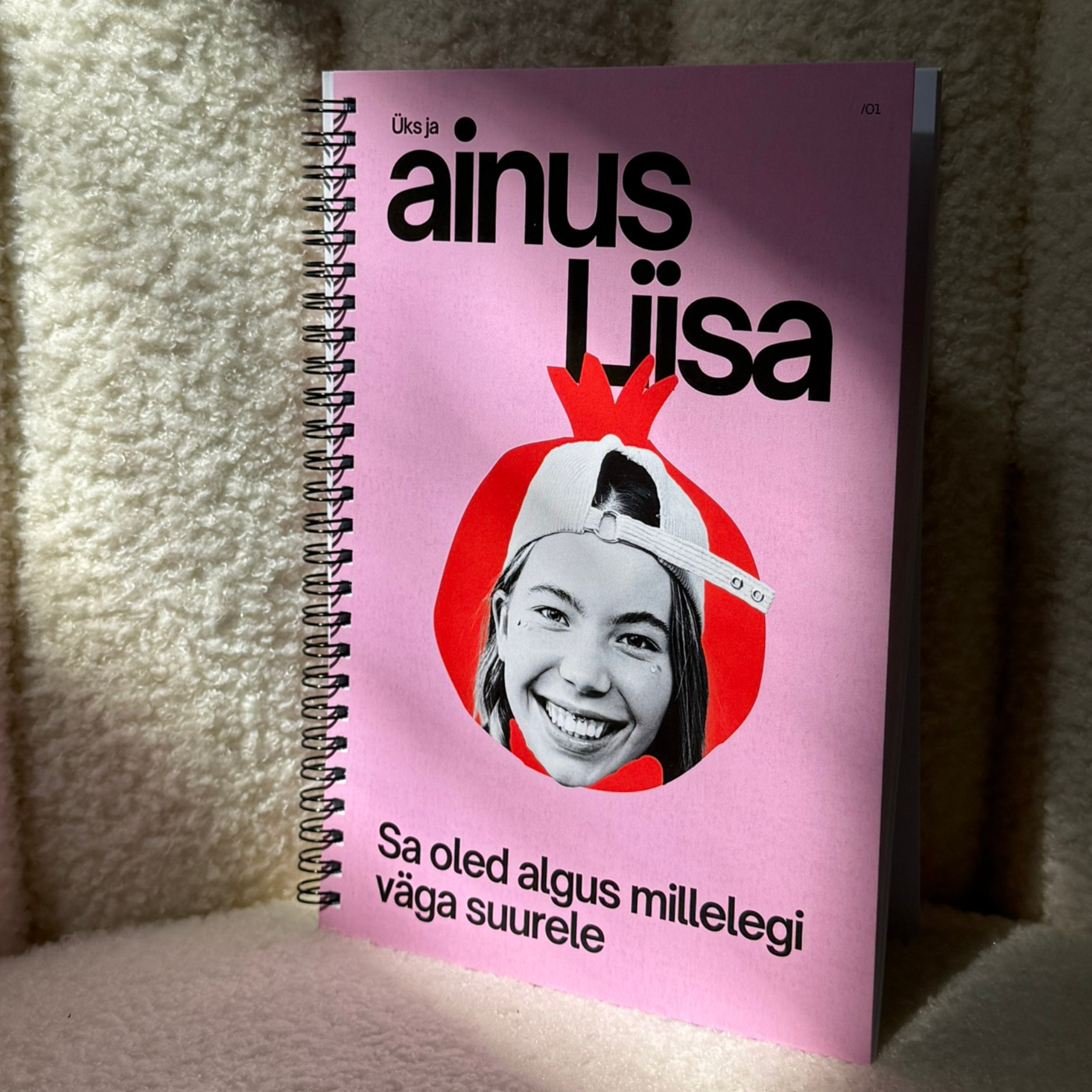 vihik kaustik tagasi kooli back to school notebook notepad kammköide klamberköide trükk vihko komplekt fotoga funky fun lahe tiktok teen